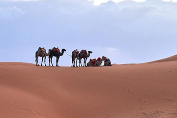 骆驼E卡充值话费必看!这些限制你了解吗?