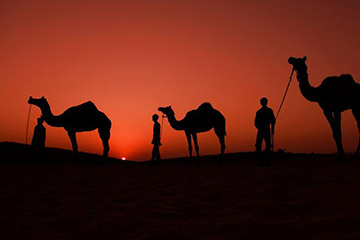 骆驼E卡怎么用?全面了解这张车主的专属电子礼品卡