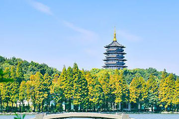 杭州市民卡回收全攻略:了解回收可能性及详细回收步骤