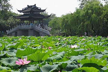 杭州市民卡补办流程详解：从申请到领卡，需要等待多久？