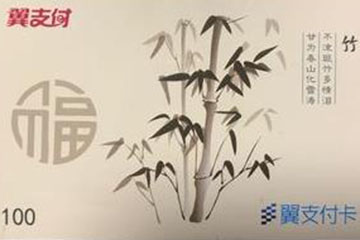 翼支付卡支持哪些电商购物平台？一文带您了解