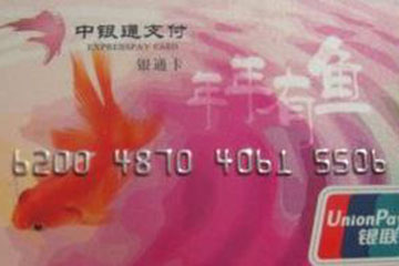 中银通支付卡京东平台使用教程：详细步骤与注意事项